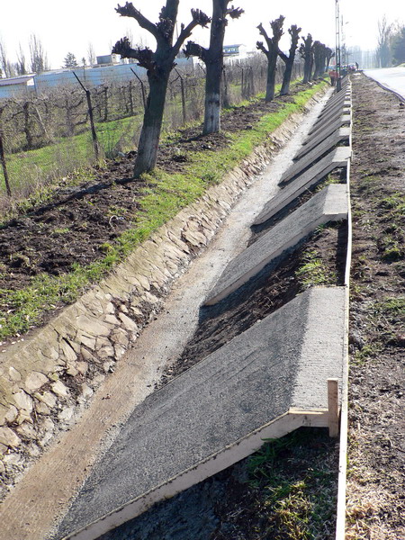 5 sant  str. Plt. Ghinita 11.jpg